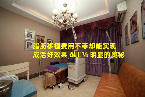 脂肪移植费用不菲却能实现成活好效果 🐼 明显的奥秘